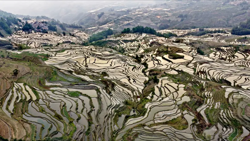 陶瓷茶具釉面缺陷成因分析及工艺优化方案