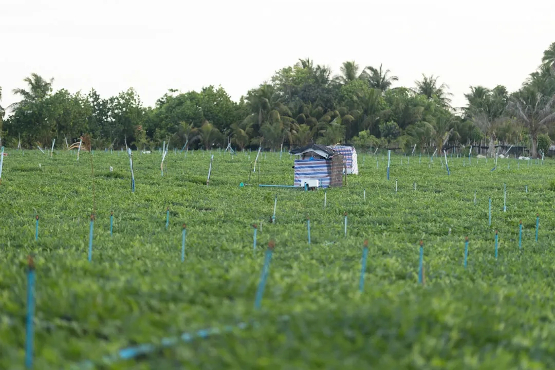 杭州茶古电商解析：陶瓷茶具与紫砂壶的工艺差异及选购要点