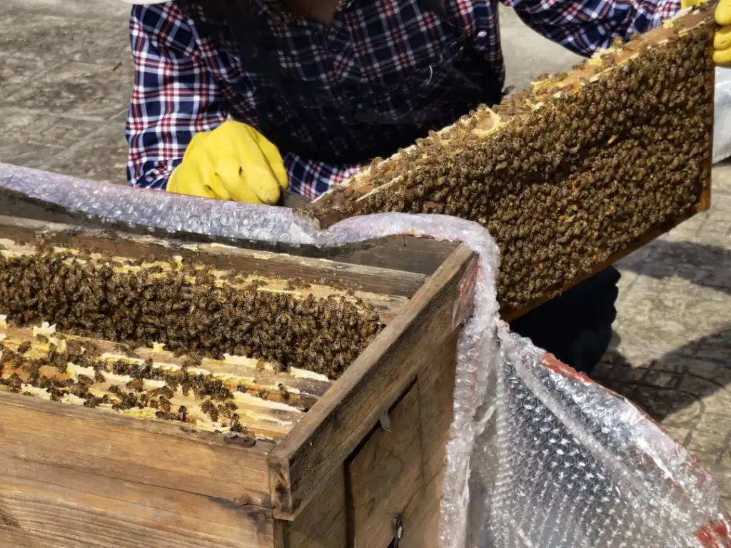陶瓷茶具与紫砂壶在泡茶场景中的适用性对比分析