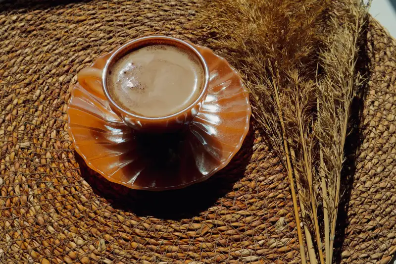 玻璃茶具与盖碗怎么选？不同茶类适配的茶器搭配方案对比